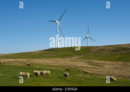 Hill Top Windenergieanlagen mit Schaf am Hang Stockfoto