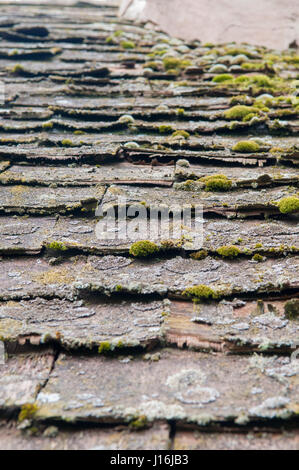 Heruntergekommenen Sie Gebäude mit gebrochenen Dach und wachsendes Moos Stockfoto