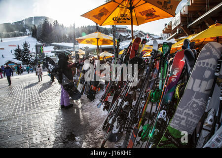 Ski, Snowboard und Stöcke auf ein Rack, Whistler, Kanada Stockfoto