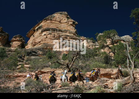 Bright Angel Trail Grand Canyon South Rim Arizona Vereinigte Staaten von Amerika Stockfoto