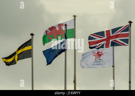 Fahnen an der Cardiff Bay, in der walisischen Hauptstadt. Flagge von Saint David, der Europäischen Union, Wales, Großbritannien und Cardiff im Wind wehen Stockfoto