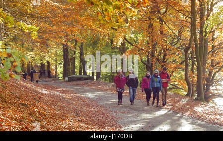 Wanderer auf einem dramatischen Wald Wanderweg auf der Rennstrecke Stauseen im malerischen Herbst oberen Derwent Valley Peak District Nationalpark Derbyshire UK Stockfoto