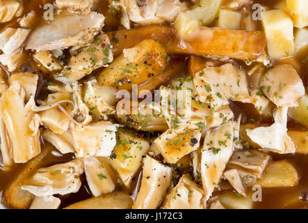 Huhn Poutine Quebec Küche mit Soße gebraten Käse Quark und Huhn closeup Stockfoto