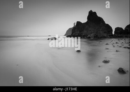 Ruby Beach in Olympic Nationalpark mit Nebel Washington State, USA Stockfoto