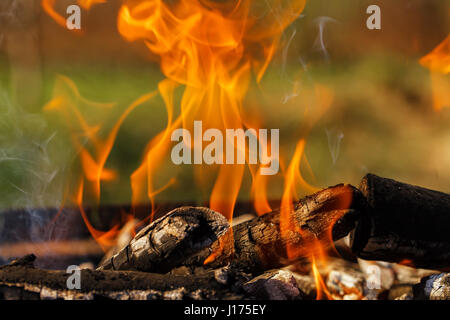 Brennholz auf dem Kohlenbecken brennen helle Feuer. Hintergrund. Close-up Stockfoto