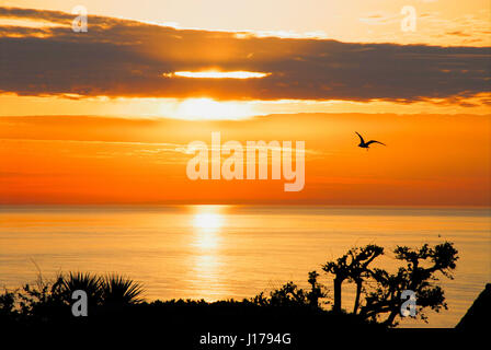 Lyme Bay, Dorset, UK. 18. April 2017. Ein wunderschöner Sonnenuntergang über Lyme Bay endet einen warmen Tag mit blauem Himmel und Sonnenschein an der Küste von Dorset Credit: Stuart Fretwell/Alamy Live-Nachrichten Stockfoto