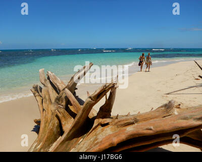 Bocas Del Toro, Panama. 19. März 2017. Touristen zu Fuß am Strand Cayo Zapatilla, einer unbewohnten Insel mit klaren, türkisfarbenen Wasser und goldenem Sand in die in der Bocas del Toro Archipel von Bocas del Toro. Cayo Zapatilla ist nur per Boot zugänglich und gilt als einer der schönsten Strände des Archipels. Rund um die Insel erreichen Sie in 45 Minuten. Bildnachweis: Julie Rogers/ZUMA Draht/Alamy Live-Nachrichten Stockfoto