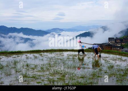 Guilin, China autonomen Region Guangxi Zhuang. 18. April 2017. Bauern arbeiten auf den Terrassen in Longsheng, Süd-China Autonome Region Guangxi Zhuang, 18. April 2017. Bildnachweis: Huang Yongdan/Xinhua/Alamy Live-Nachrichten Stockfoto