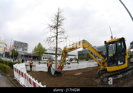 München, Deutschland. 19. April 2017. 19. April 2017 wird in München, ein Baum gepflanzt. Der Baum ist Teil einer Gedenkstätte für die Opfer eines Massakers in einem Einkaufszentrum in München im Juli 2016. Foto: Tobias Hase/Dpa/Alamy Live News Stockfoto