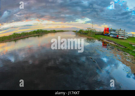 Bewölkten Sonnenuntergang über einem schwimmen neben einem Kanu Vermietung Kiosk in den Florida Everglades alligator Stockfoto