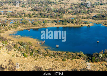 Luftaufnahme der Okavango Delta, Moremi Game Reserve, Botsuana Stockfoto