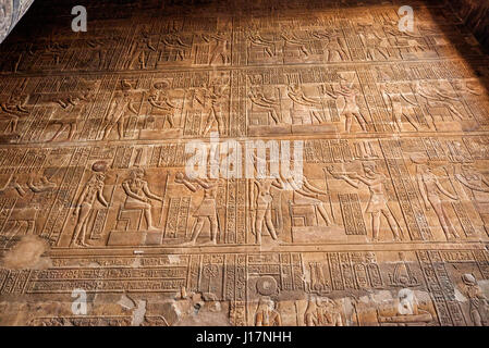 Hieroglyphen in den Tempel des Chnum in Esna, Ägypten, Afrika Stockfoto