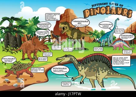 Eine Vektor-Illustration von verschiedenen Arten von Dinosauriern Infografik Stock Vektor