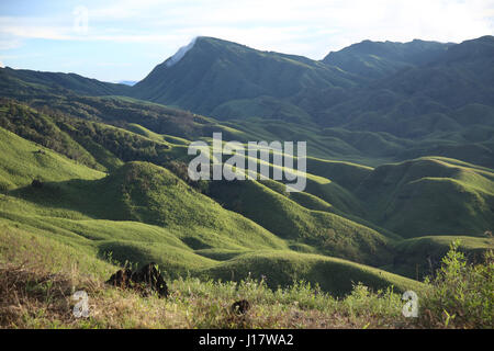 Dzükou Tal. Grenze zwischen den Bundesstaaten Nagaland und Manipur, Indien. Bekannt für seine natürliche Schönheit, Blumen der Saison und der gesamten Flora und faun Stockfoto