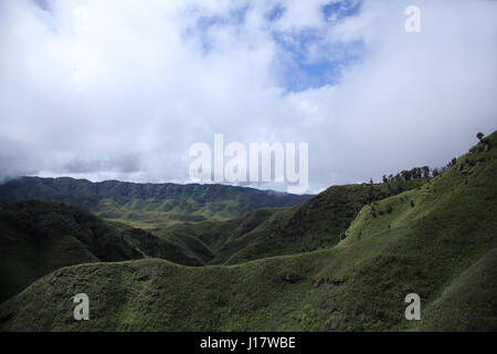 Dzükou Tal. Grenze zwischen den Bundesstaaten Nagaland und Manipur, Indien. Bekannt für seine natürliche Schönheit, Blumen der Saison und der gesamten Flora und faun Stockfoto