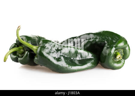 Drei ganze Poblano Pfeffer auf weißem Hintergrund mit Schatten. Stockfoto