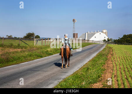 Amish junge Dame auf einem Pferd auf einem ländlichen Amish Bauernhof Landstraße mit einer weißen Scheune reiten, Lancaster County, ländlichen Pennsylvania, Pa, USA, USA, Amerika, 2008 Stockfoto