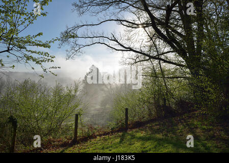 Landschaft in Creuse-Abteilung, Nouvelle-Aquitaine, Frankreich Stockfoto