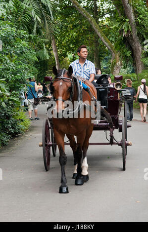 Kutschenfahrt im Zoo von Singapur. Stockfoto