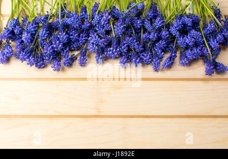 Hyazinthenblumen auf einem Holzbrett mit Exemplar Stockfoto