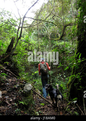 Rückansicht der Frau und Hund, Wandern im Regenwald von Ecuador Stockfoto