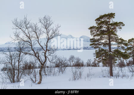 Mount Akka im Sarek Nationalpark fotografiert von Stora Sjöfallets National Park, Gällivare, Schwedisch-Lappland, Schweden Stockfoto