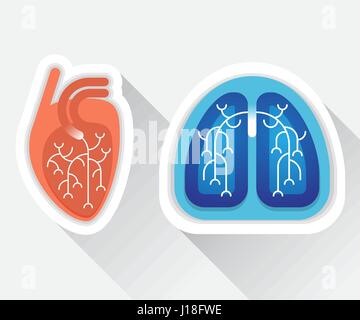 Menschliche Lunge und Herz flach illustration Stock Vektor