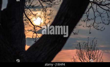 Lakewood Park Sonnenuntergang Stockfoto