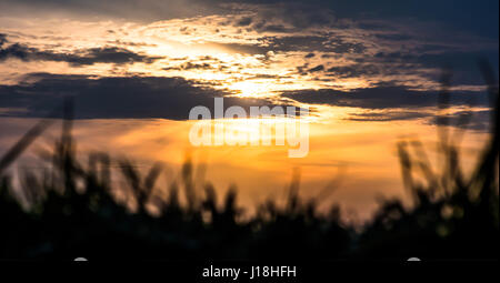 Lakewood Park Sonnenuntergang Stockfoto