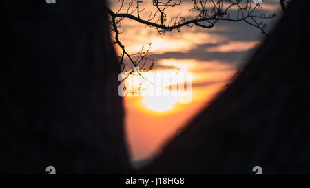 Lakewood Park Sonnenuntergang Stockfoto