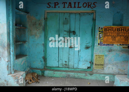 Hund schlafen vor Haus, Varanasi, Uttar Pradesh, Indien, Asien Stockfoto