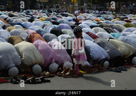 Menschen beten Namaz Eid Festival, Jodhpur, Rajasthan, Indien, Asien Stockfoto