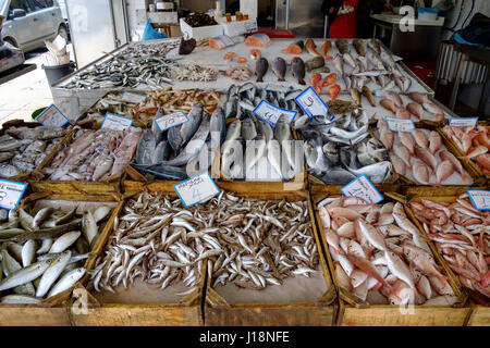 Fisch Stockfoto