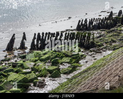 Exponierten Buhnen bei Ebbe am Ufer des Flusses Alde zwischen Orford und Aldeburgh, Suffolk mit einigen modernen Verteidigung Stockfoto