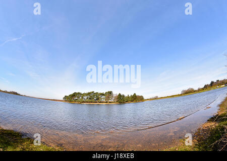 Fisheye Blick auf Beil Teich im New Forest National Park, Hampshire, England Stockfoto