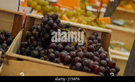 Nahaufnahme von Trauben. Stockfoto