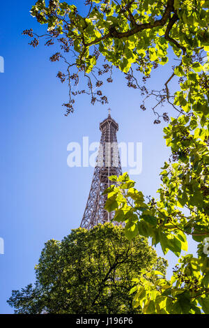 Frankreich, Paris, Maulwurf Blick auf den Eiffelturm Stockfoto