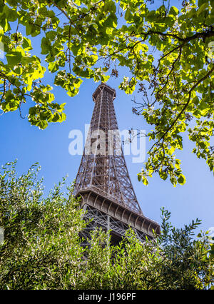 Frankreich, Paris, Maulwurf Blick auf den Eiffelturm Stockfoto