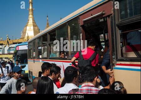 28.01.2017, Yangon, Republik der Union Myanmar, Asien-Passagiere einen öffentlichen Bus vor der Sule Pagode in Yangon. Stockfoto