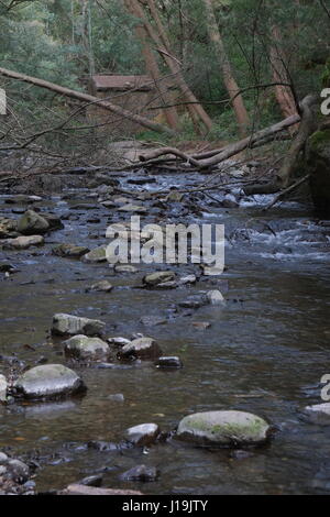 Flussstrand Nossa Senhora da Piedade in Serra da Região, Coimbra, Portugal Stockfoto