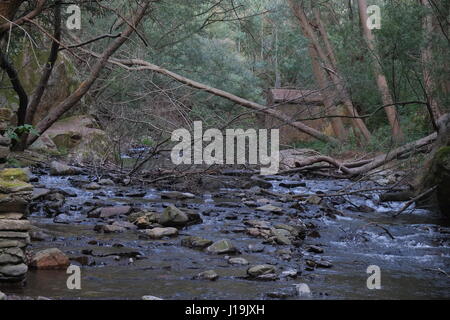 Flussstrand Nossa Senhora da Piedade in Serra da Região, Coimbra, Portugal Stockfoto