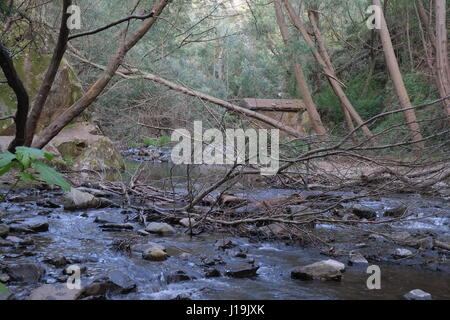 Flussstrand Nossa Senhora da Piedade in Serra da Região, Coimbra, Portugal Stockfoto