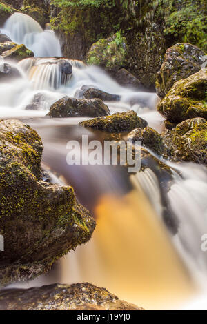 Lodore fällt, Borrowdale, in der Nähe von Keswick, Lake District, Großbritannien Stockfoto