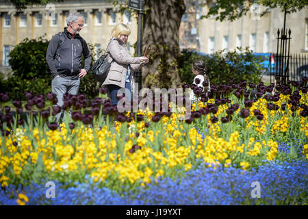 Menschen fotografieren vor Tulpen und Beetpflanzen im Victoria Park, Bad. Stockfoto