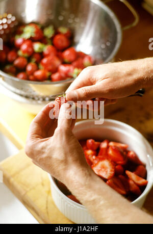 Mann Erdbeeren schälen. Stockfoto
