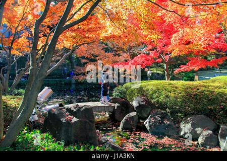 Otaguro Koen Park Herbstlaub Suginami Tokio Japan Stockfoto