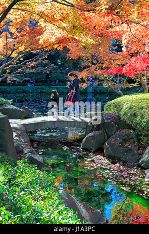 Otaguro Koen Park Herbstlaub Suginami Tokio Japan Stockfoto