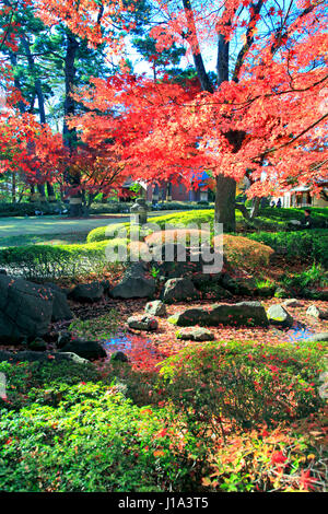 Otaguro Koen Park Herbstlaub Suginami Tokio Japan Stockfoto