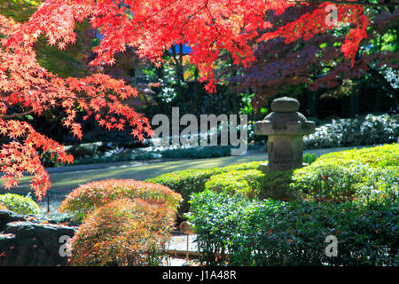 Otaguro Koen Park Herbstlaub Suginami Tokio Japan Stockfoto