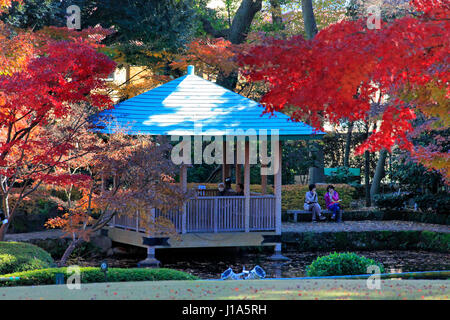 Otaguro Koen Park Herbstlaub Suginami Tokio Japan Stockfoto